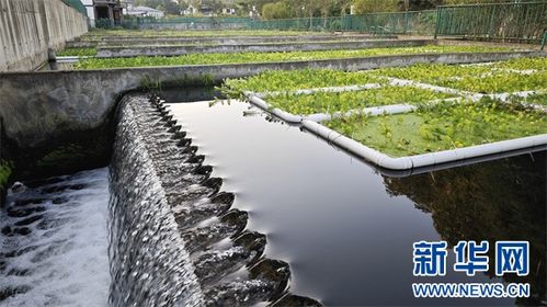從污到清，循環(huán)新生 播州再生水利用邁上新臺階