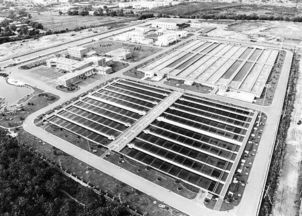 首都創再生水利用亮點 污水處理及其再生利用的創新實踐